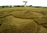 Chilbolton Radio Telescope, Hampshire crop circle, aerial photo 9