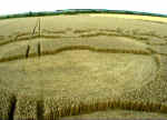 Chilbolton Radio Telescope, Hampshire crop circle, aerial photo 6