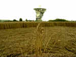 Chilbolton Radio Telescope, Hampshire crop circle, aerial photo 10