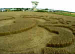 Chilbolton Radio Telescope, Hampshire crop circle, aerial photo 7