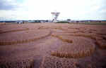 Chilbolton Radio Telescope, Hampshire crop circle, aerial photo 12