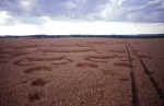 Chilbolton Radio Telescope, Hampshire crop circle, aerial photo 13