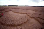 Chilbolton Radio Telescope, Hampshire crop circle, aerial photo 14