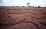 Chilbolton Radio Telescope, Hampshire crop circle, aerial photo 15