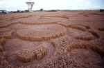 Chilbolton Radio Telescope, Hampshire crop circle, aerial photo 16