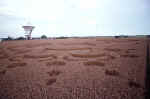 Chilbolton Radio Telescope, Hampshire crop circle, aerial photo 17