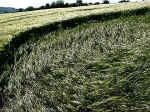 Crossbanks, Northumberland crop circle, aerial photo 4