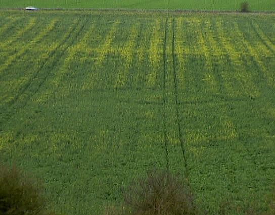 Danebury Hill, Hampshire crop circle from the air