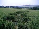 Eynsford, Kent crop circle, aerial photo 4