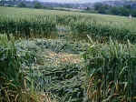 Eynsford, Kent crop circle, aerial photo 5