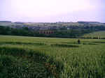Eynsford, Kent crop circle, aerial photo 7