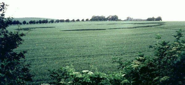 Eynsford, Kent crop circle, aerial photo 3