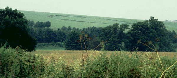 Eynsford, Kent crop circle, aerial photo 2