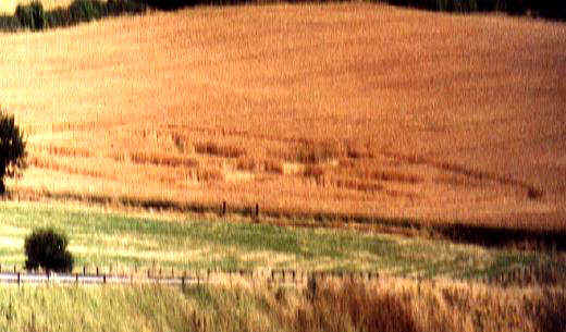 Dodworth (1), Yorkshire crop circle, aerial photo 2