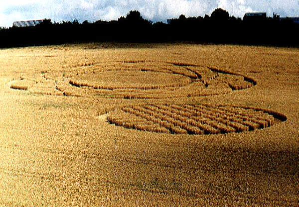 Dodworth (3), Yorkshire crop circle, aerial photo 5