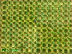 East Kennett, Wiltshire crop circle, aerial photo 3