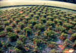 East Kennett, Wiltshire crop circle, aerial photo 9