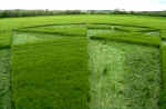East Field, Wiltshire crop circle, aerial photo 6