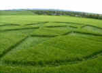 East Field, Wiltshire crop circle, aerial photo 7