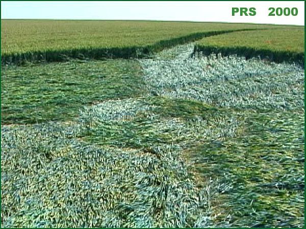 Everleigh, Wiltshire crop circle, aerial photo 2