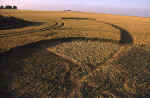 Everleigh, Wiltshire crop circle, aerial photo 10