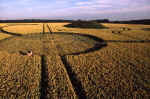 Everleigh, Wiltshire crop circle, aerial photo 11