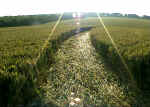 Everleigh, Wiltshire crop circle, aerial photo 7