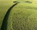 Everleigh, Wiltshire crop circle, aerial photo 5