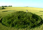 Everleigh, Wiltshire crop circle, aerial photo 6
