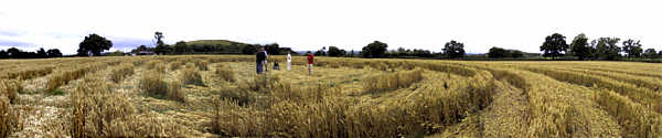 Farm World, Wales crop circle, aerial photo 2
