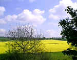 Farningham, Kent crop circle, aerial photo 3