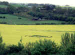 Farningham, Kent crop circle, aerial photo 2