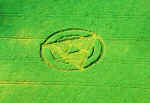 farnae.jpg (60518 bytes)