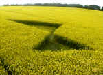 Furze Hill, Wiltshire crop circle, aerial photo 3
