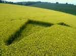 Furze Hill, Wiltshire crop circle, aerial photo 4