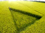 Furze Hill, Wiltshire crop circle, aerial photo 5