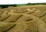 Giant's Grave, Wiltshire crop circle, aerial photo 5