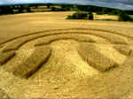 Giant's Grave, Wiltshire crop circle, aerial photo 8