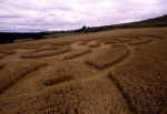 Giant's Grave, Wiltshire crop circle, aerial photo 10