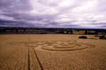 Giant's Grave, Wiltshire crop circle, aerial photo 12