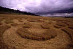 Giant's Grave, Wiltshire crop circle, aerial photo 13