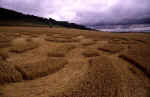 Giant's Grave, Wiltshire crop circle, aerial photo 14