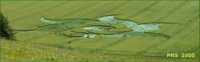 Golden Ball Hill, Wiltshire crop circle, aerial photo 2