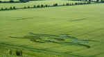Golden Ball Hill, Wiltshire crop circle, aerial photo 9
