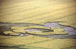 Golden Ball Hill, Wiltshire crop circle, aerial photo 11