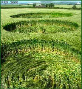 Grafton Down, Wiltshire crop circle, aerial photo 12