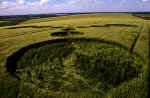 Grafton Down, Wiltshire crop circle, aerial photo 5