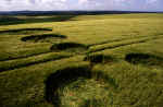 Grafton Down, Wiltshire crop circle, aerial photo 7