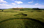 Grafton Down, Wiltshire crop circle, aerial photo 8