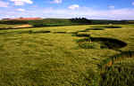 Grafton Down, Wiltshire crop circle, aerial photo 9